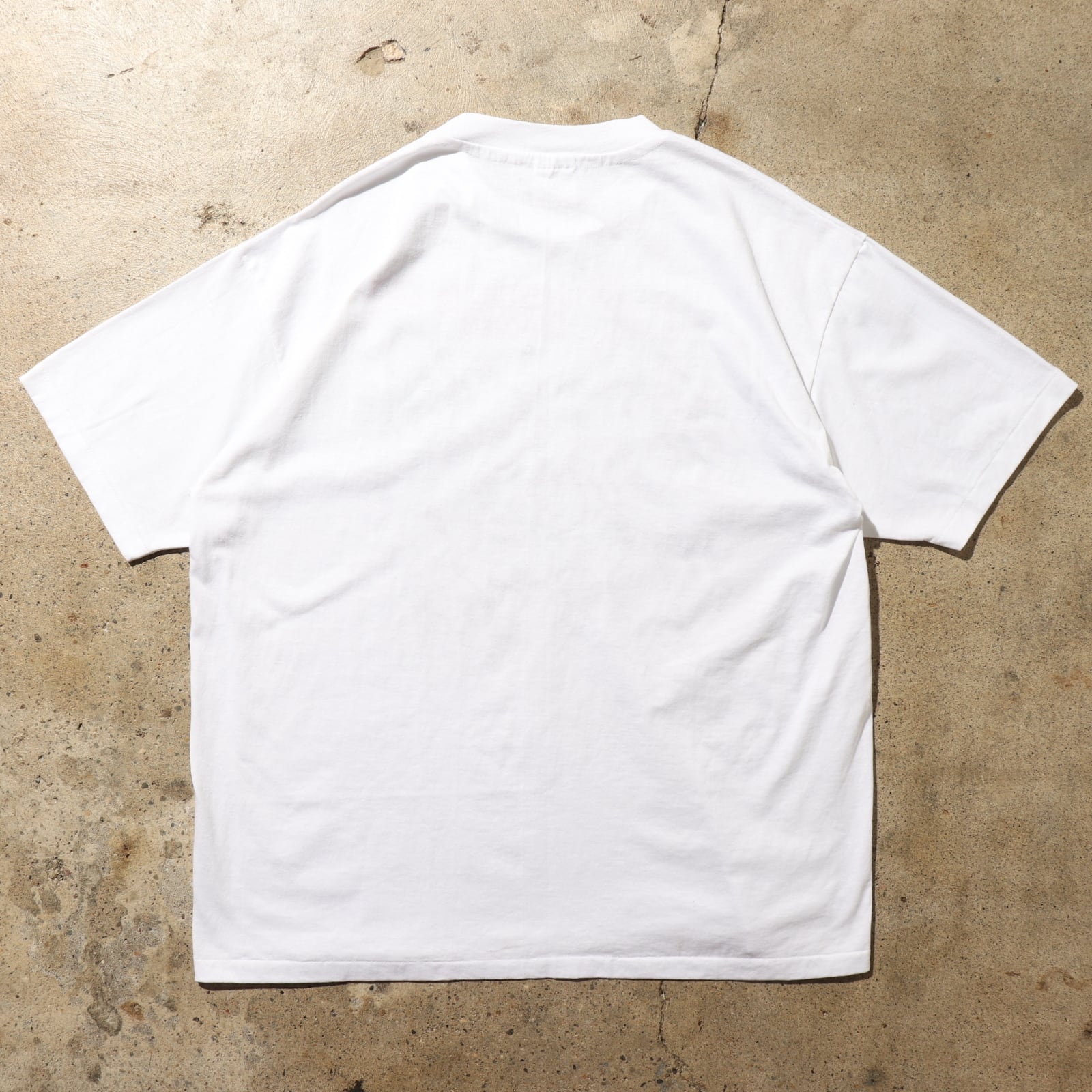 Deadstock XL 80s 90s シングルステッチ Tシャツ the strong survive