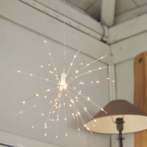 LED Light wire decoration blooming
