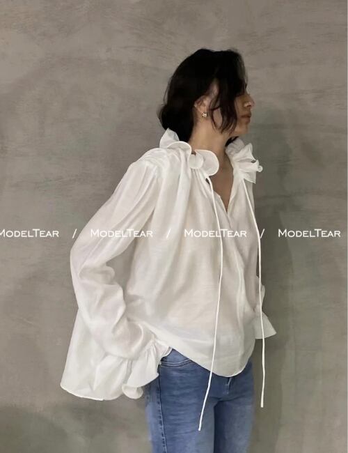 Ruffle Tie Sheer Blouse