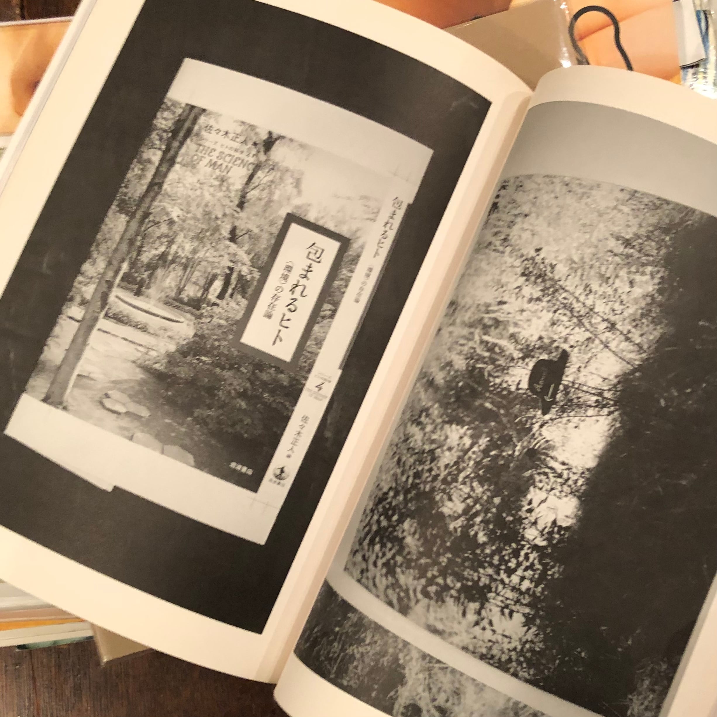 美品 希少 絶版 NEW DOCUMENTARY ホンマタカシ 作品集 写真集 ニュー・ドキュメンタリー: ホンマタカシ / New Documentary