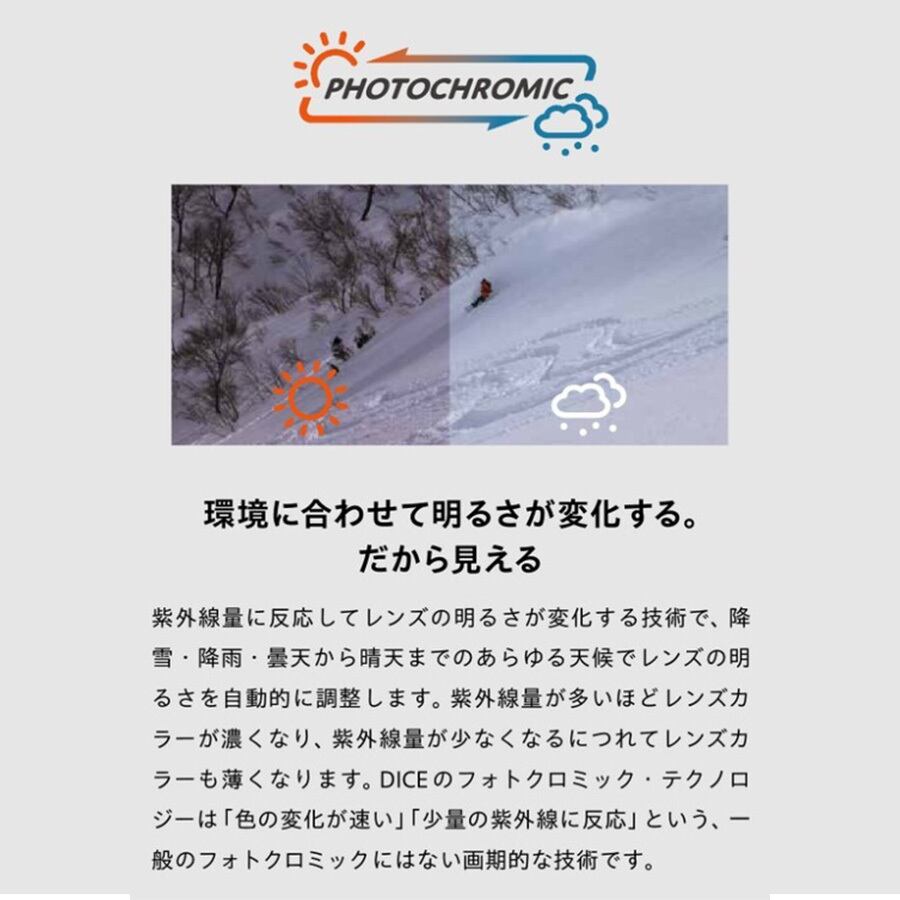 25-26 ダイス ゴーグル DICE スノーボード BANK バンク リミテッド
