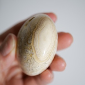 クレイジーレースアゲート イエロー / パーム