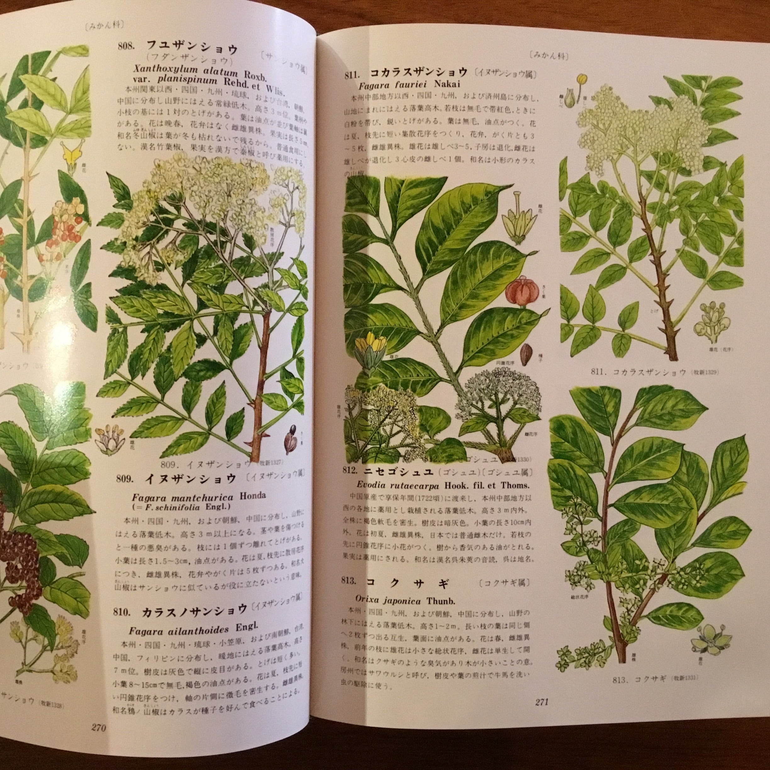 原色牧野植物大図鑑 正編・続編 | Flying Books