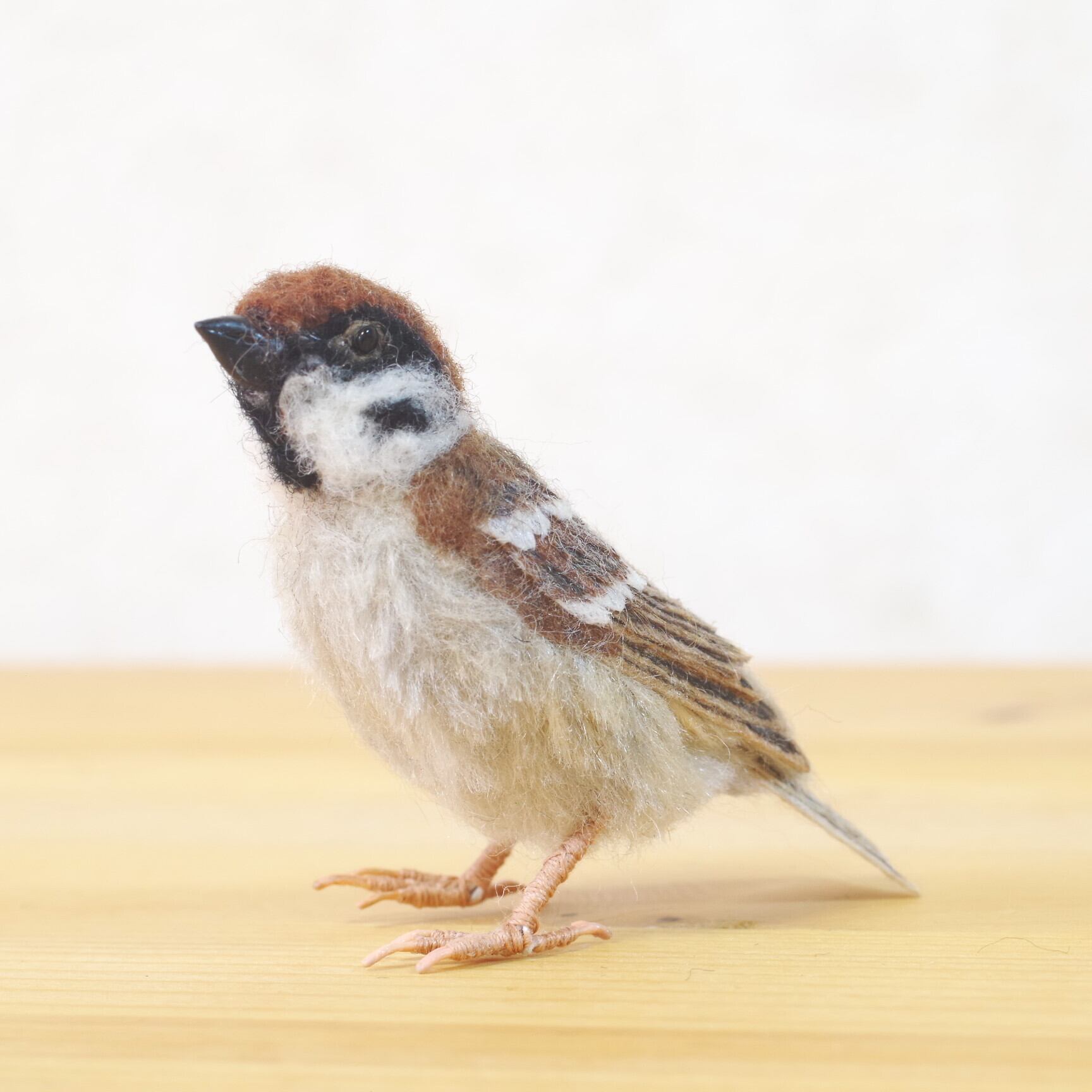 森羊のクーシャ スズメ E
