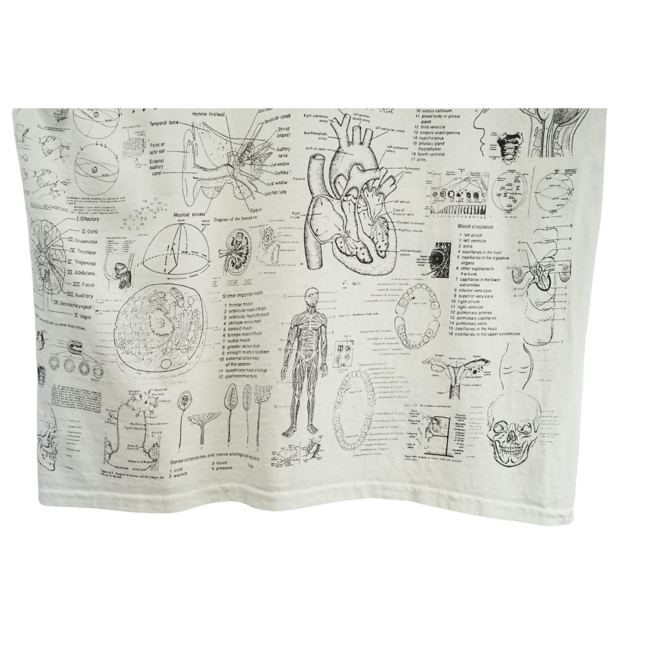 GILDAN BLINDED BY SCIENCE TEST ANSWER 総柄プリントTシャツ（Lサイズ
