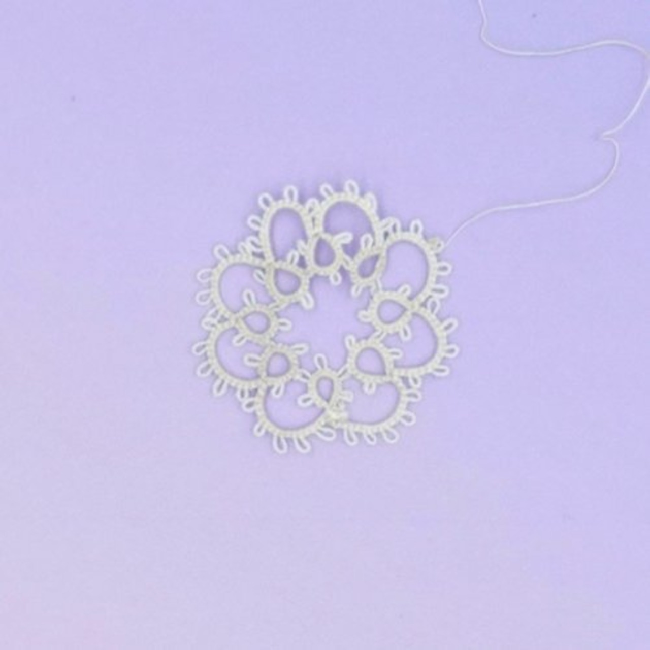 Pauranikaタディングレース