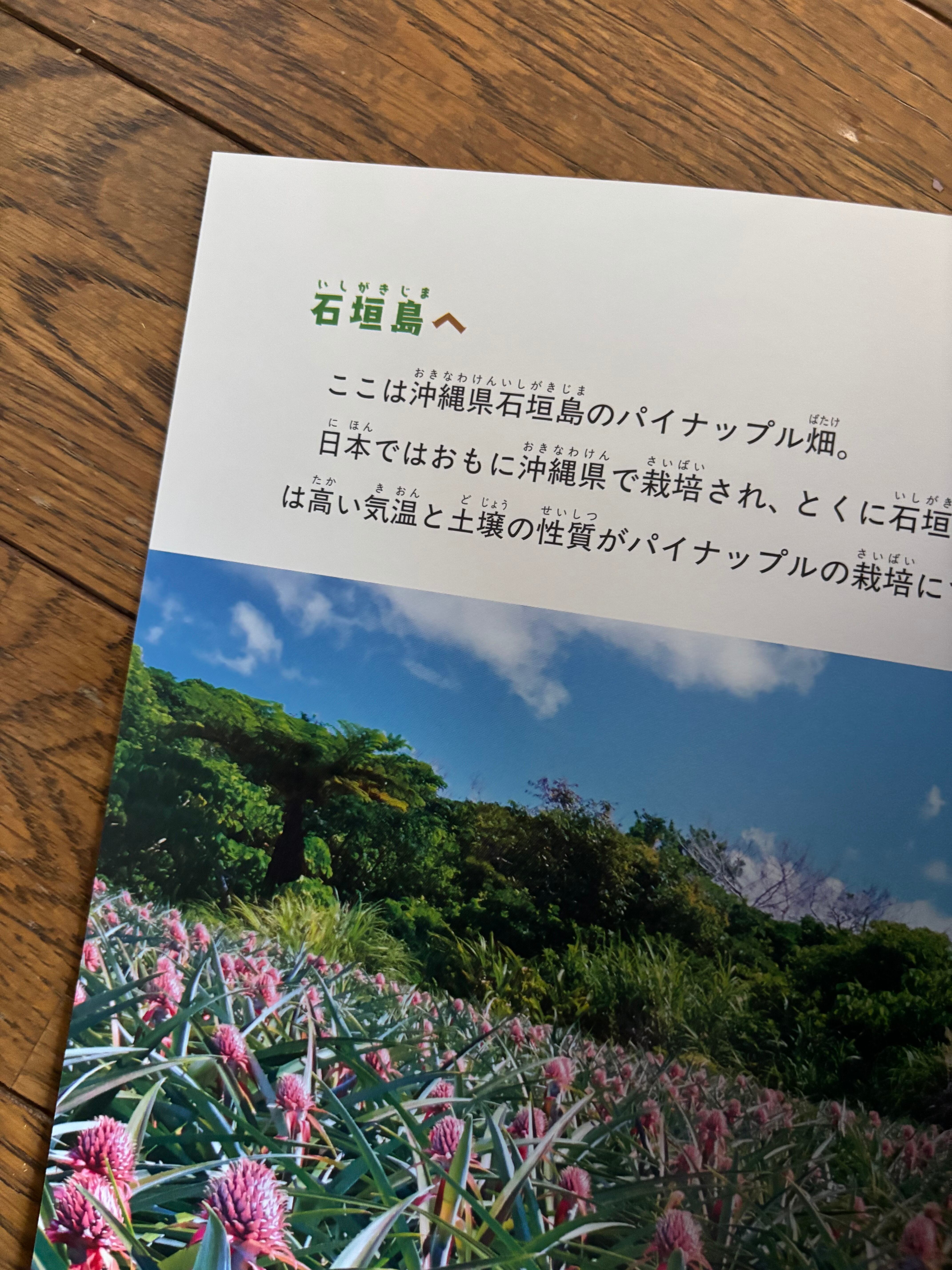 パイナップルに見た夢（月刊たくさんのふしぎ2025年7月号） | ほんの