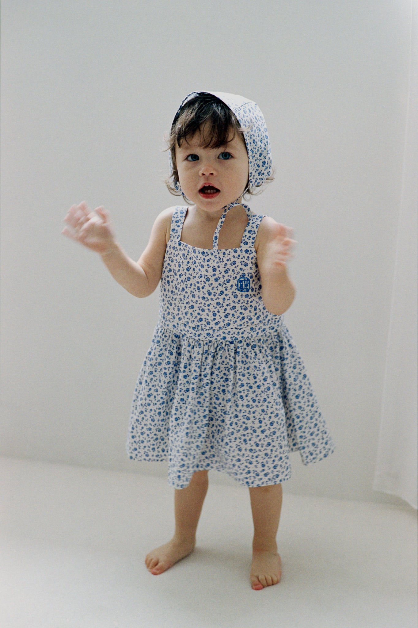 Dress (Flower) | House on the Hill