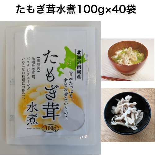 たもぎ茸水煮　100g×40パック　（賞味期限：製造より10か月）