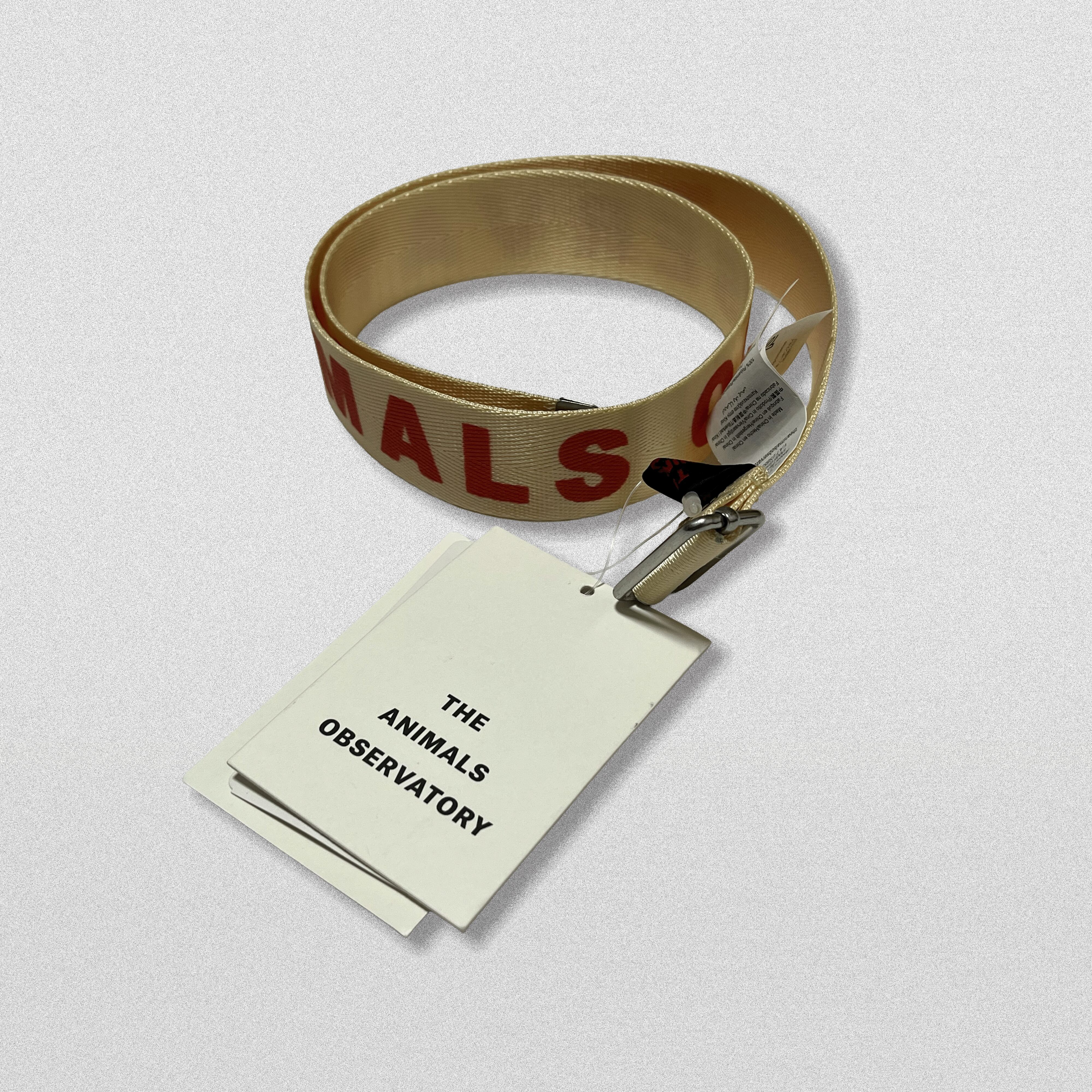 t*t様 the animals observatory Felt Belt B THE ANIMALS OBSERVATORY Logo Belt | TRAMPOLINE kids