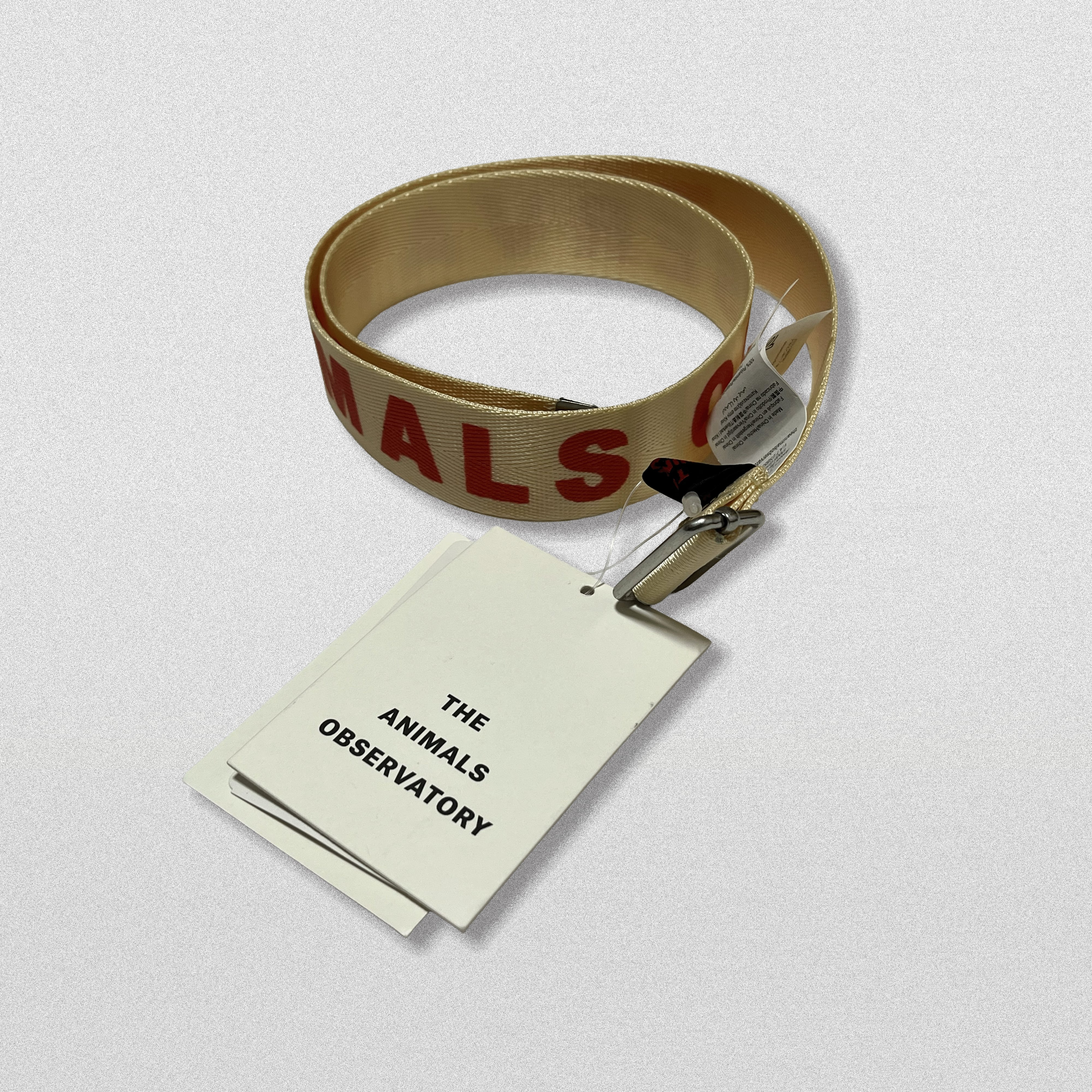 THE ANIMALS OBSERVATORY Logo Belt | TRAMPOLINE kids