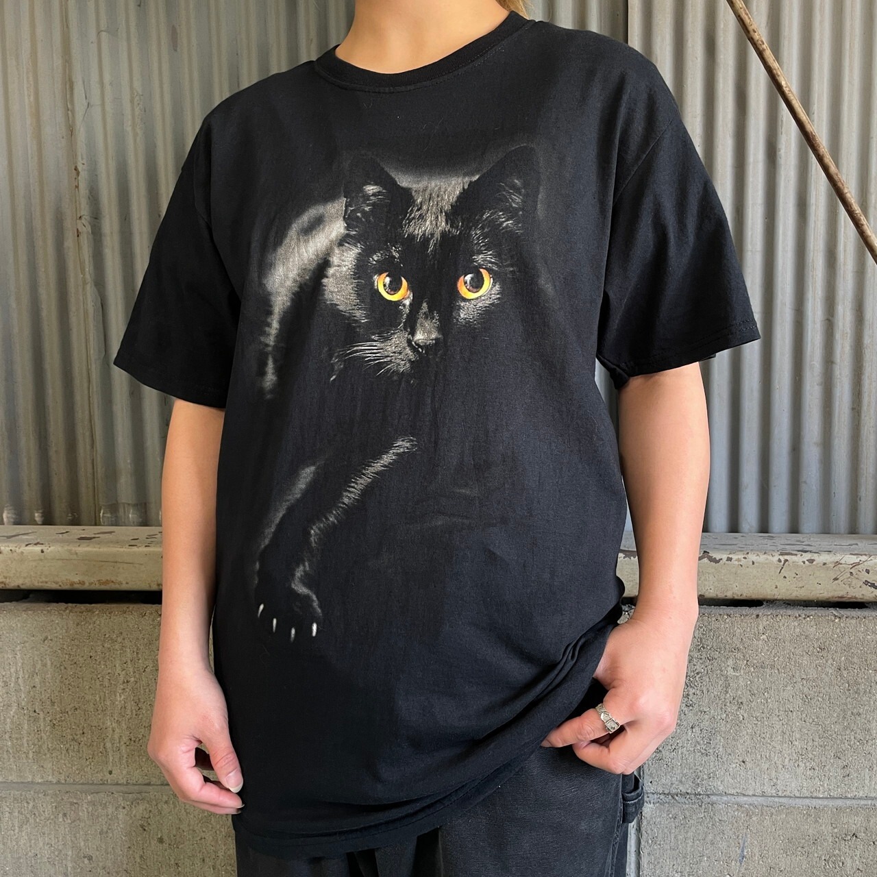 黒猫 アニマルプリントTシャツ メンズS-M 古着 フルーツオブザルーム 