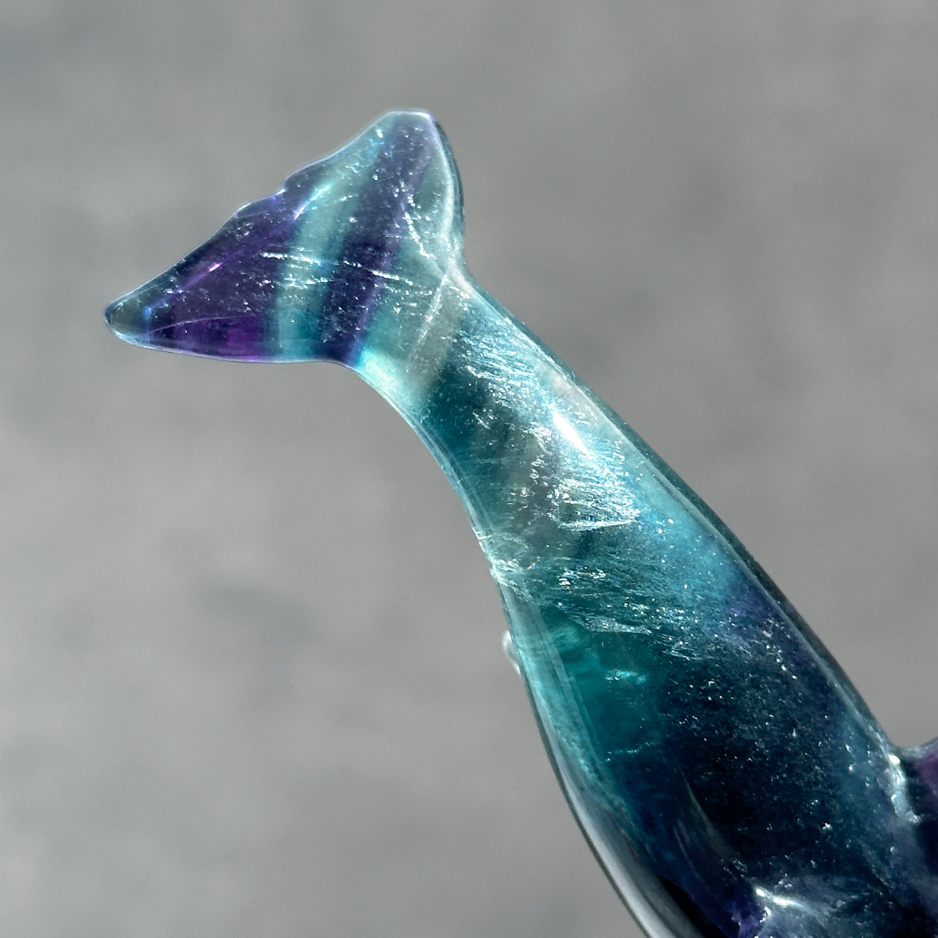 レインボーフローライト イルカ44◇ Fluorite ◇天然石