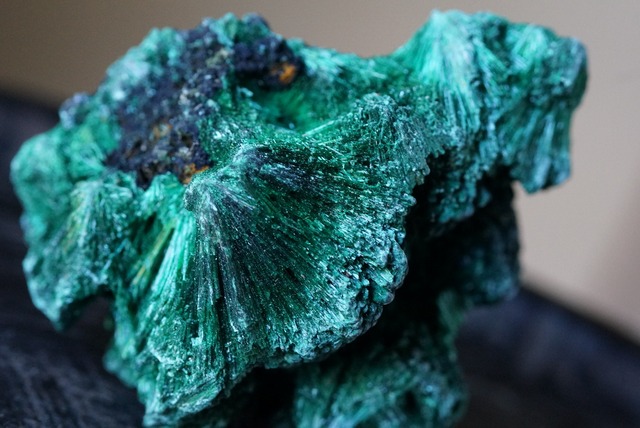 ヴェルヴェット マラカイト Malachite ③