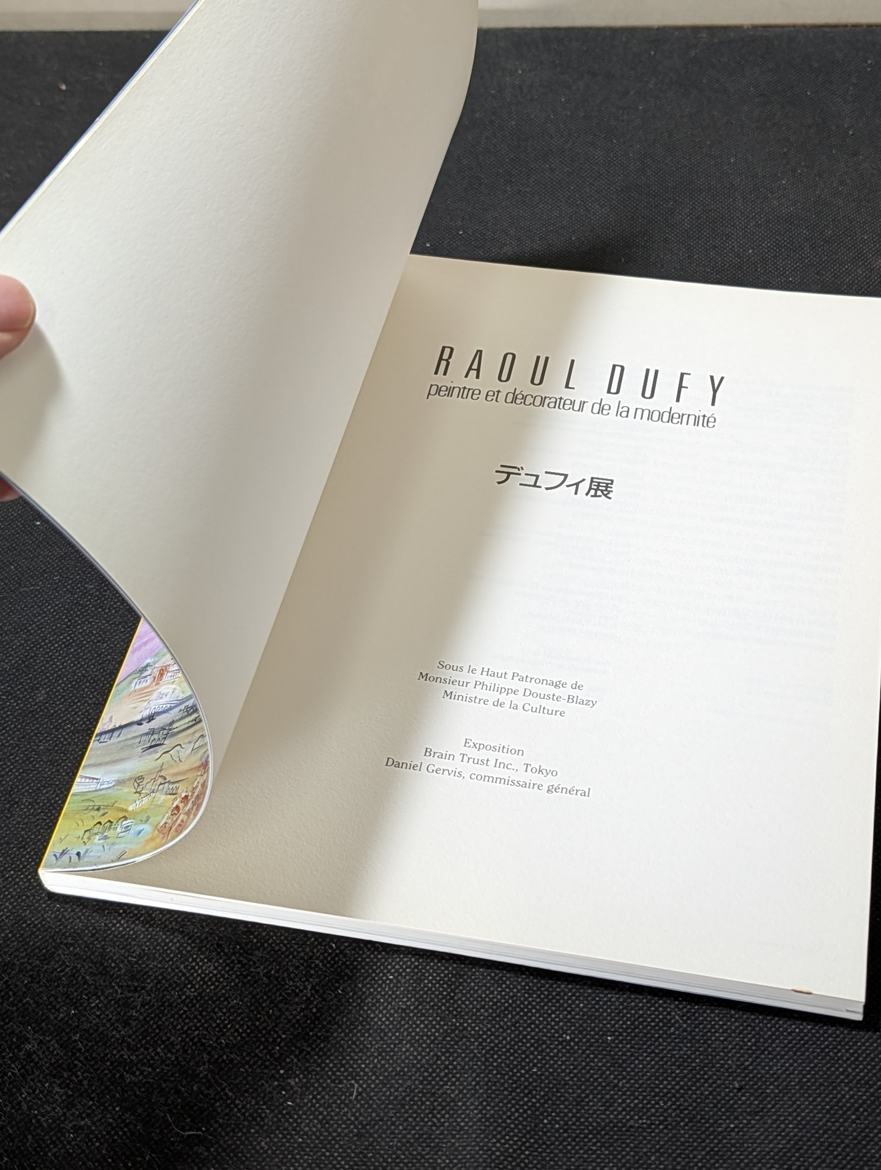デュフィ展 展示図録 1995年┃古本┃ラウル・デュフィ Raoul Dufy