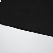 BOWWOW / SALISH LODGE TEE AGED