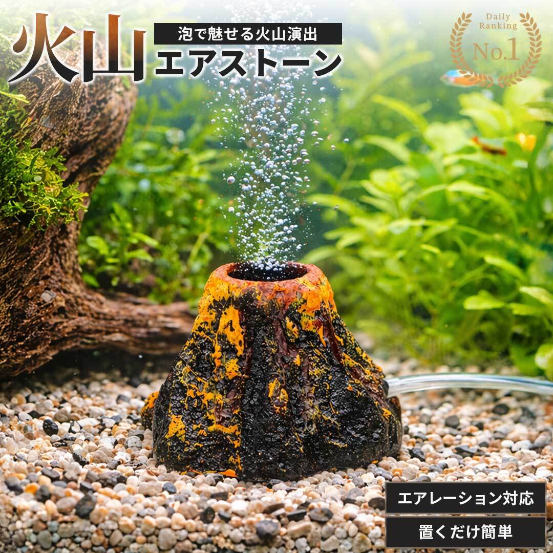 アクアリウム用品大処分！！ 使わなくなったアクアリウム用品売って買い物する！ ＃aquarium