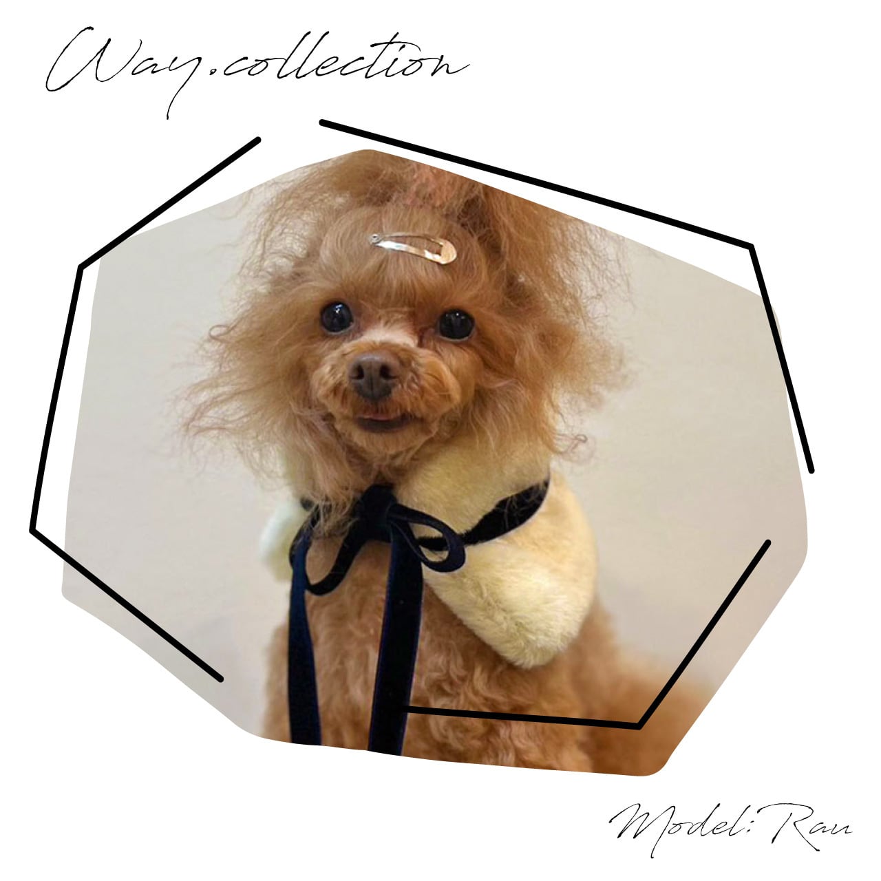 ＿Way collection＿ 】＊ファーティペット＊（ ハンドメイド 手作り