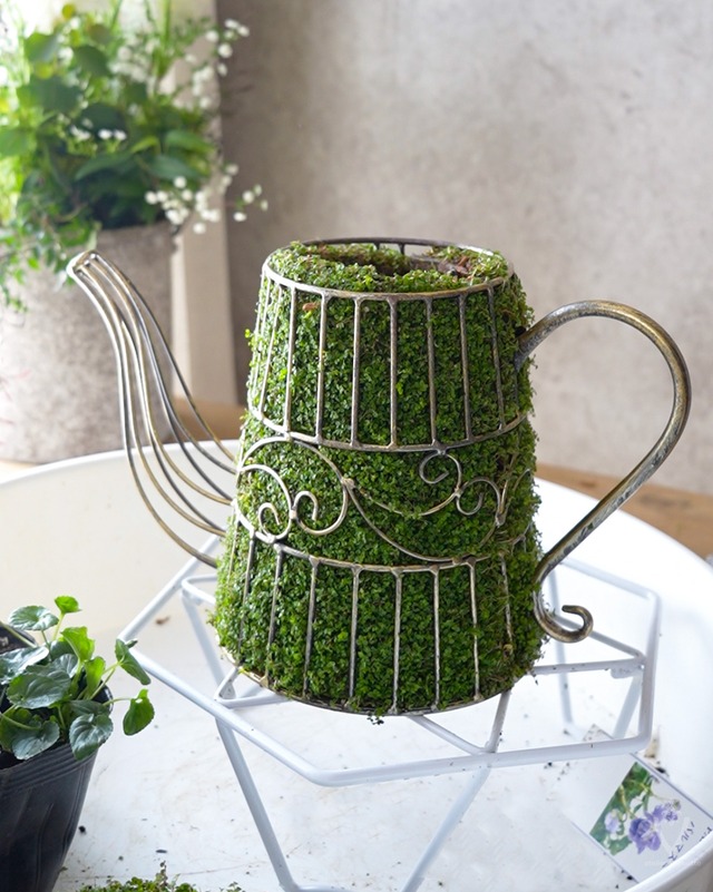 【アイアン】 ガーデンティーポット　口径 φ11cm　