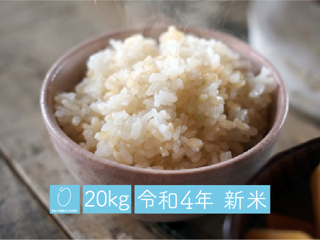 【2022年新米】玄米:20kg「新潟県産コシヒカリ」 | RAI SUGAI FARM powered by BASE