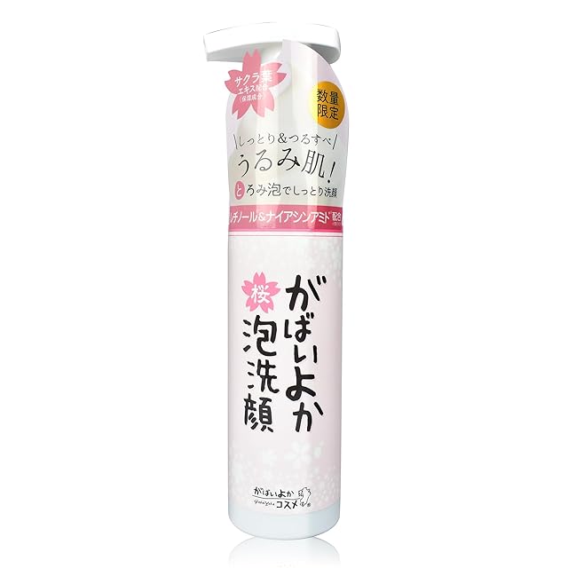 REVIVE ウォッシュフォーム 120g | PAY ID