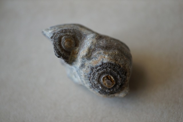 ゴビアゲート Gobi Agate 1686