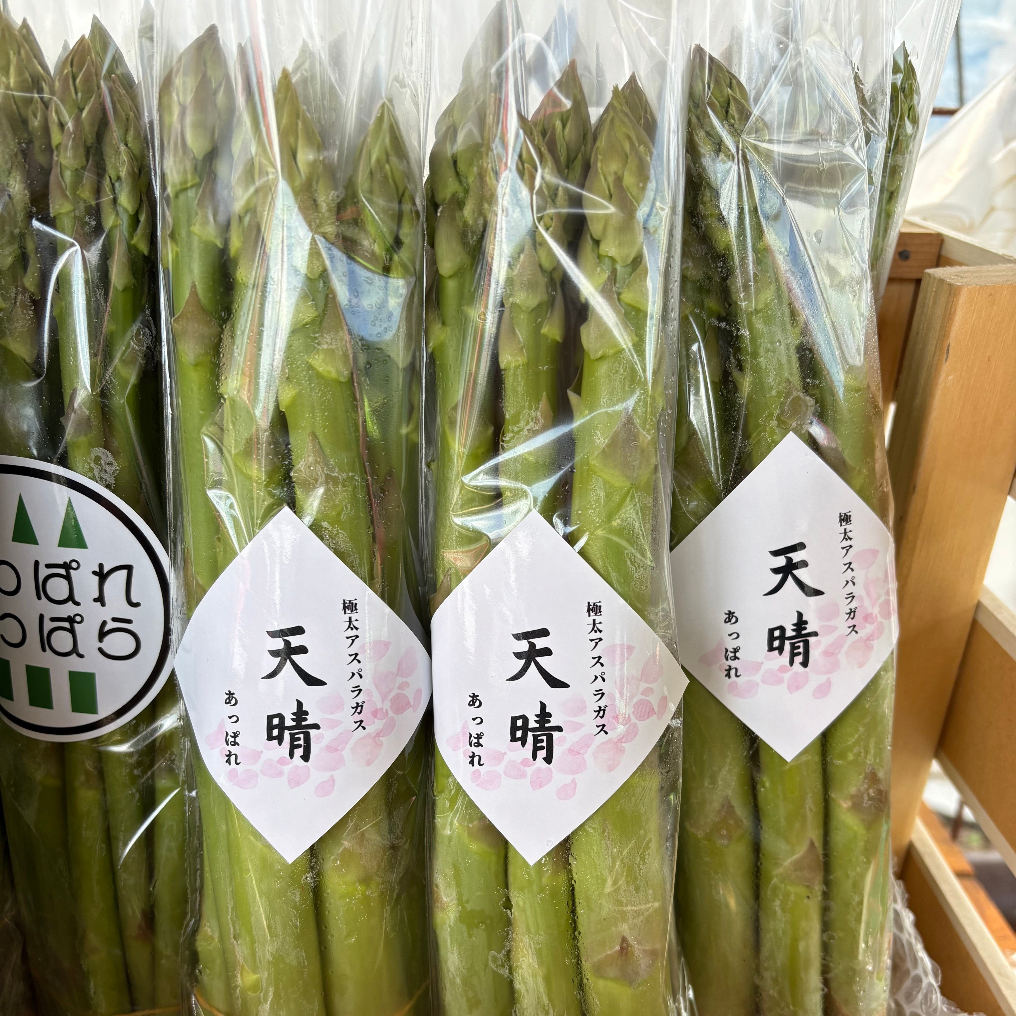 極太アスパラガス 1.0kg | 中村アスパラ園