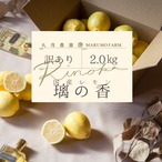 【新品種/訳あり】国産レモン璃の香(りのか)【2㎏】