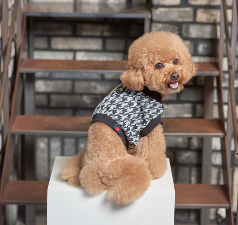 ニットクロップドトップス S ~ 2XL 4color  /  犬服 新作 秋冬 ショート丈 crop top クロップドトップス 小型犬 中型犬 ペット洋服 ドッグウェア ペット用品　b46