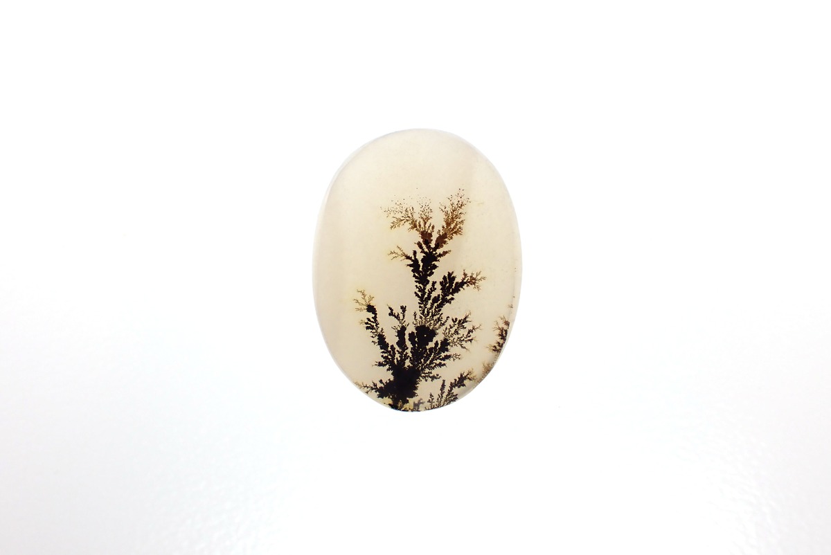 815 dendritic agate | MATERIALS+