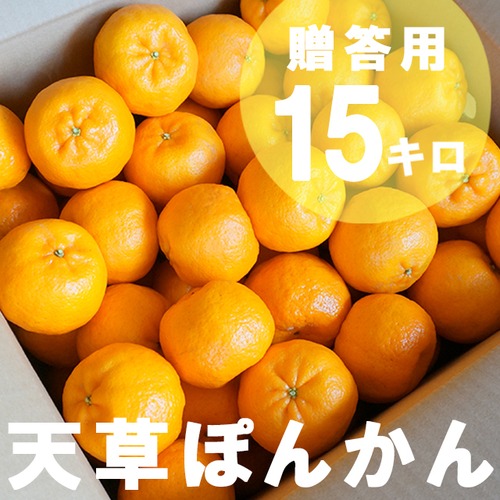 天草ぽんかん贈答用【15kg】