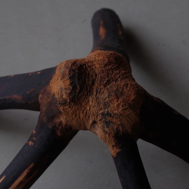 Crotch of a tree
