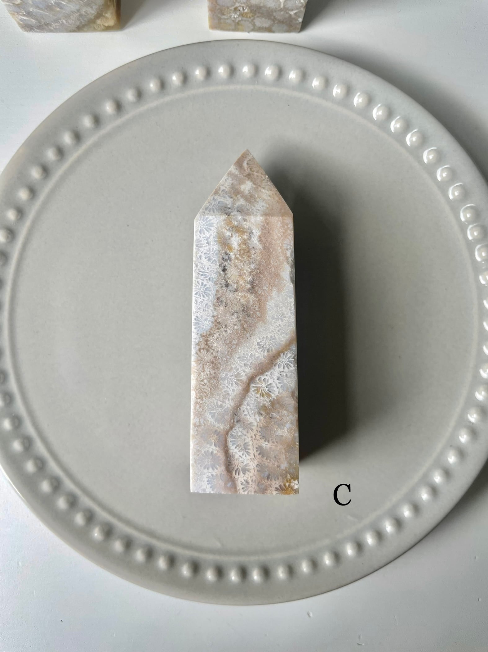 Fossil Coral Tower / フォッシルコーラル　タワー