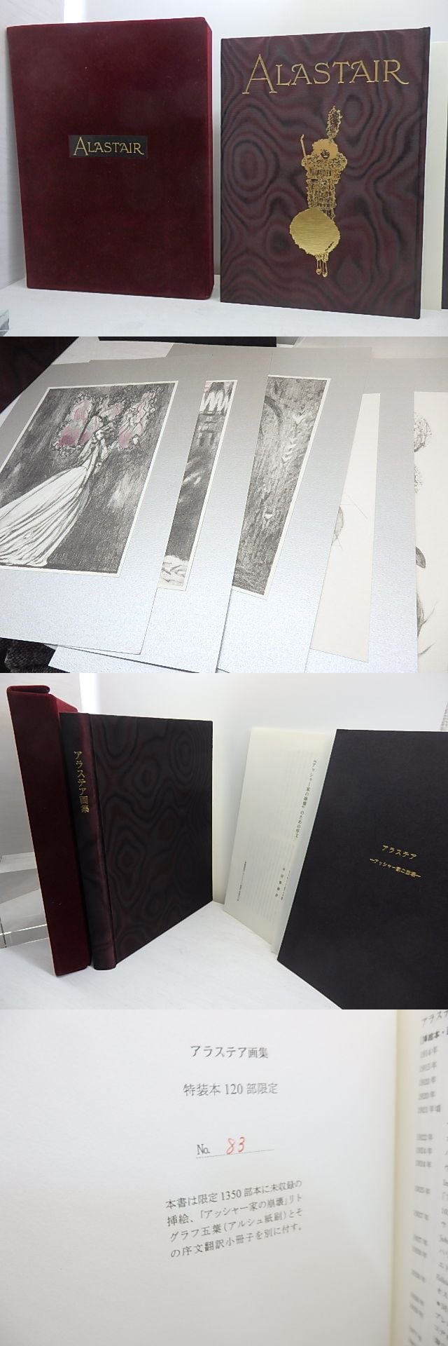 最安値級価格 限定品 アラステア 画集 生田耕作 平田雅樹 編 出版社奢
