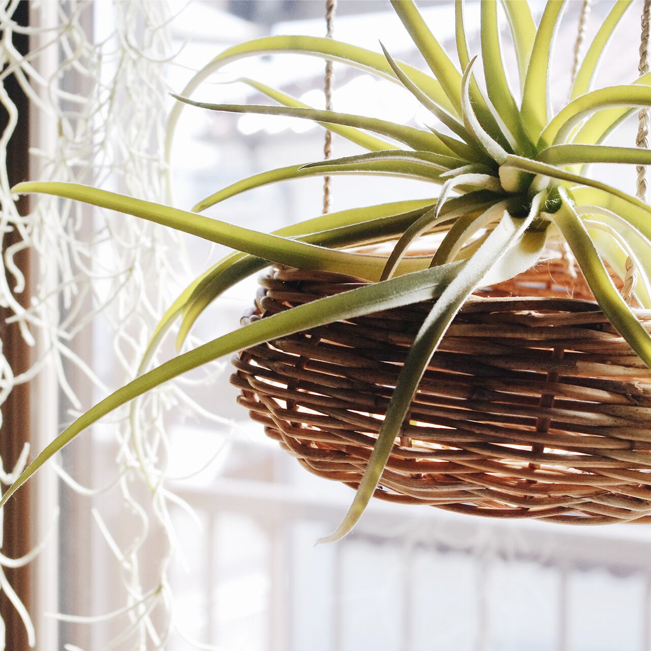 Rattan hanging basket