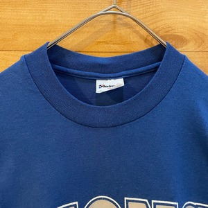 【STEDMAN】80s 90s USA製 Tシャツアメフト アーチロゴ  NFL DETROIT LIONS デトロイト ライオンズ L us古着