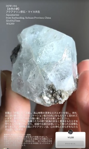 ⭔ お客様専用ページ ⭔ __tranquillite__様　