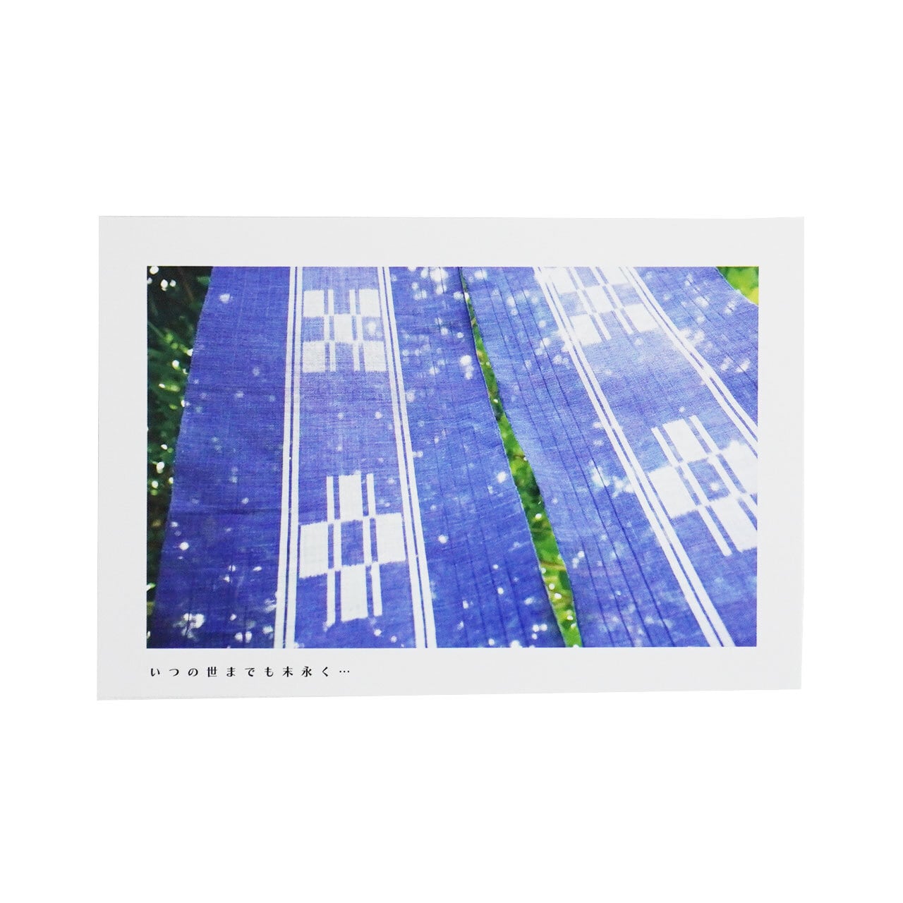 ポストカード 3枚セット [MINSAH] 【ネコポス便可】 | あざみ屋 公式