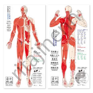 リタジネン式 解剖経穴タオル 前面後面2枚セット