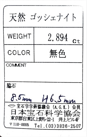 ゴッシェナイト 2.894ct 無色 簡易ソーティング付き No.192