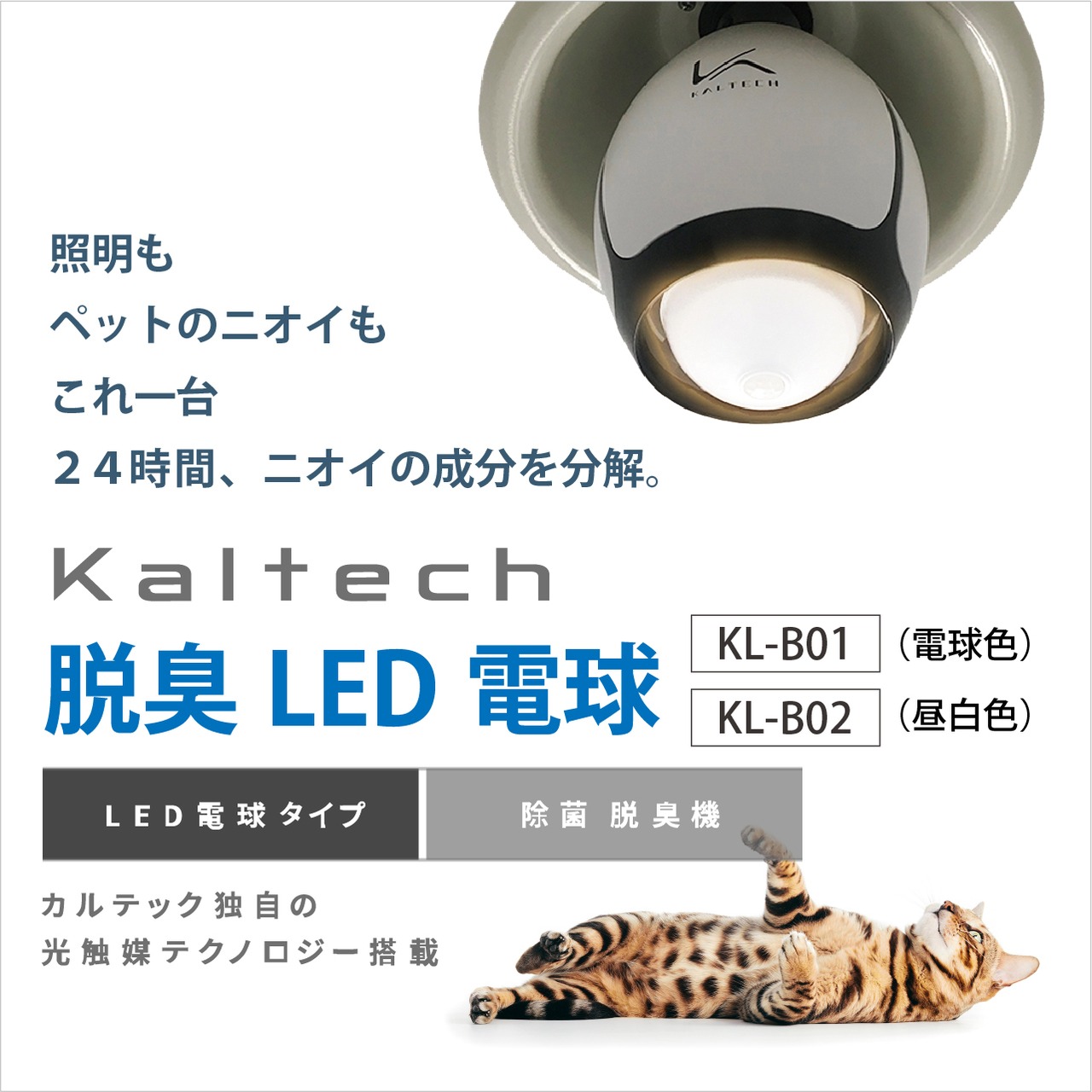 KL-B01　カルテック脱臭LED電球