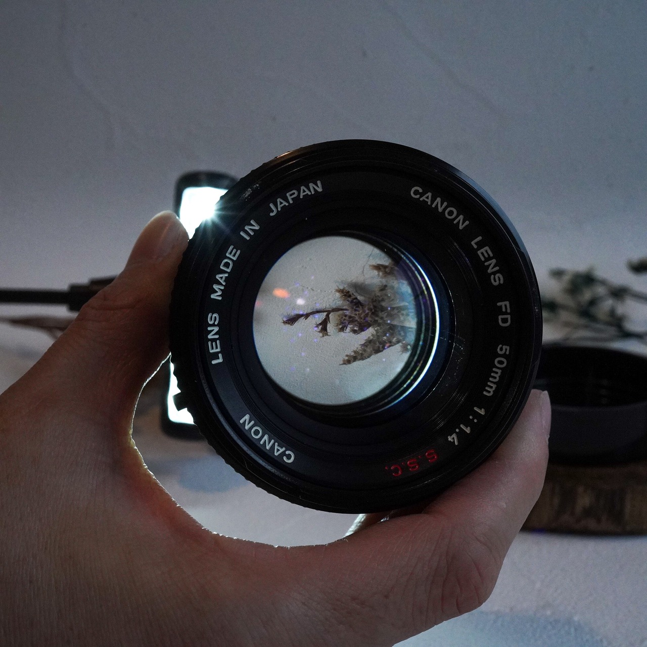 【美品】 Canon FD 50mm F1.4 SSC フード付き 人気の単焦点　