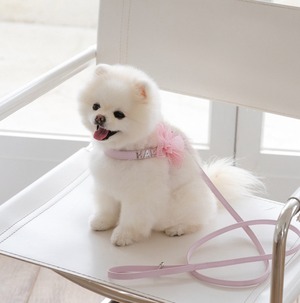 予約【stroll】Soft Walk Harness (Pale Pink)
