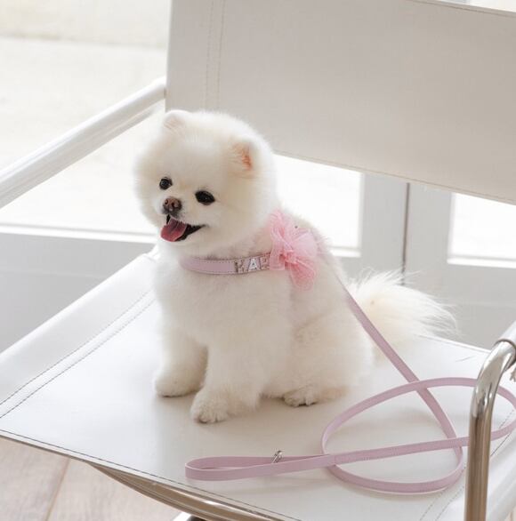 予約【stroll】Soft Walk Harness (Pale Pink)
