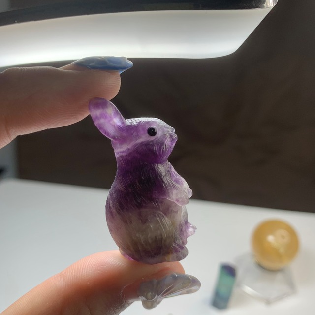 お月様を眺めるフローライトうさぎちゃん