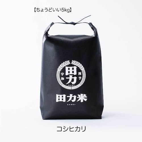 田力米 コシヒカリ 白米 5kg