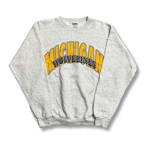 University of Michigan Printed Sweatshirt. 2020