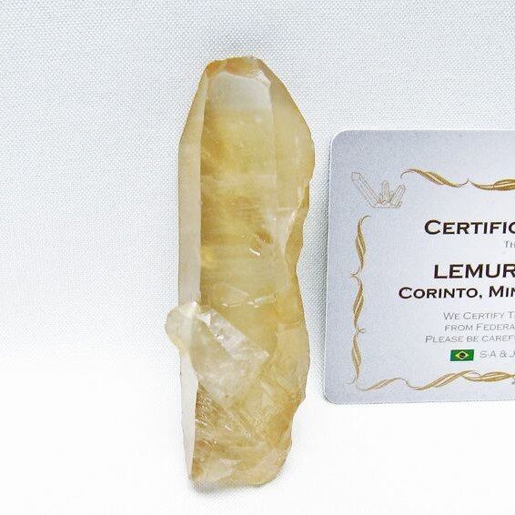 レムリアンシード シトリンクォーツ 原石 ブラジル ミナスジェライス州 コリント産 一点物 171-7249