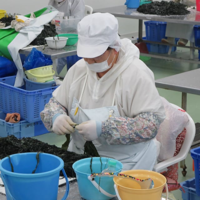 岩手県田老産 真崎わかめ使用】まんまワカメ【カットわかめ】 | 茶碗とお椀