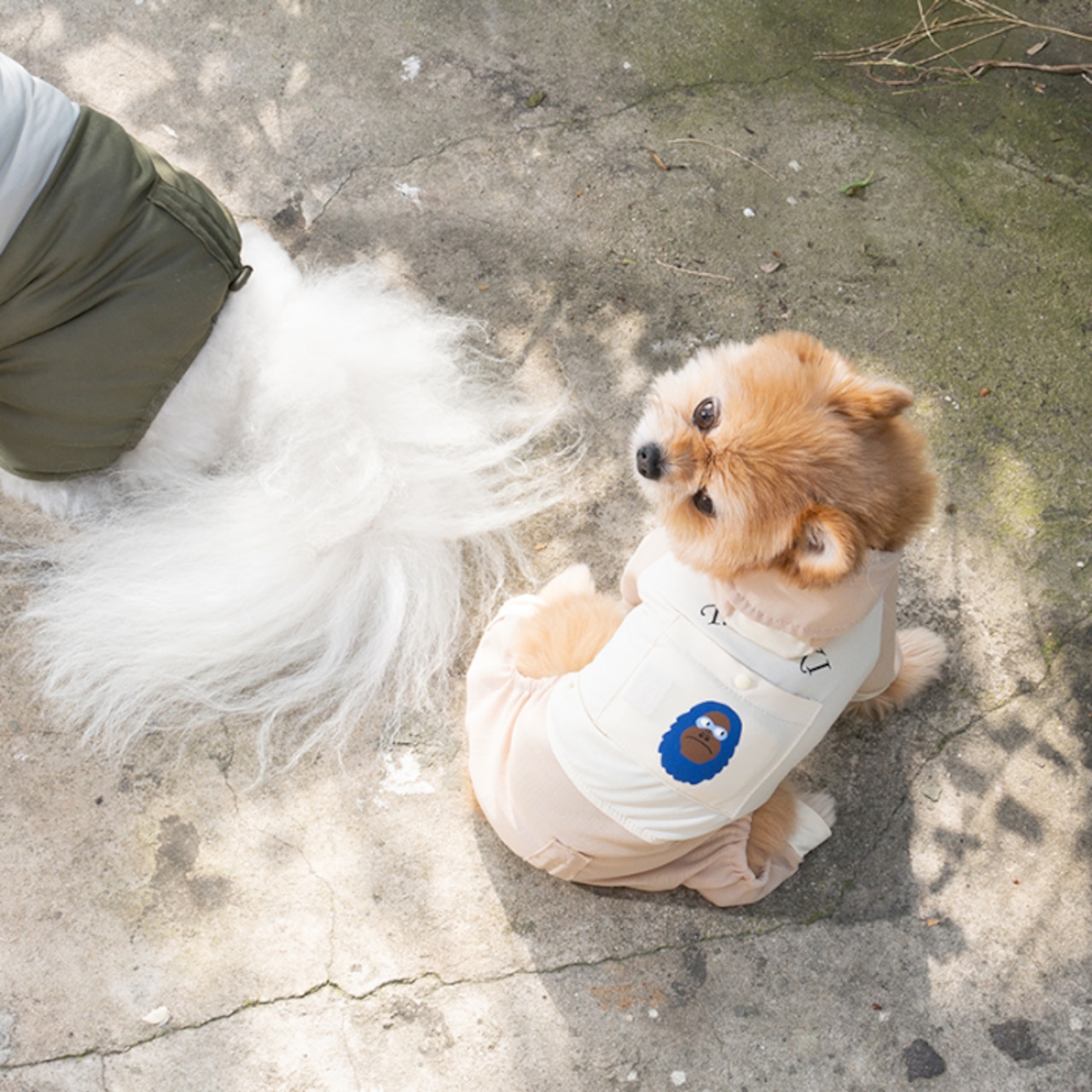 【puppygallery公式】Kiki mesh cooling jumpsuit 2XL-3XL